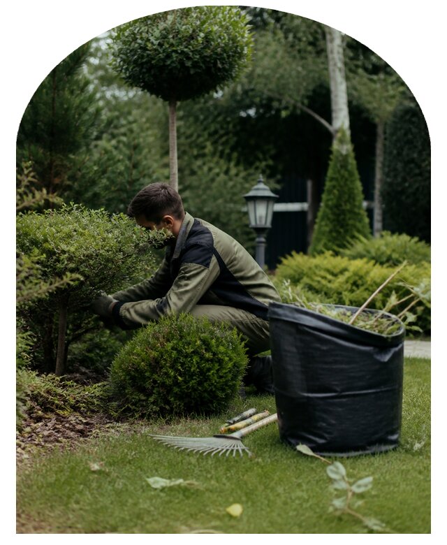 Профессиональный уход за садом и растениями в Ейске